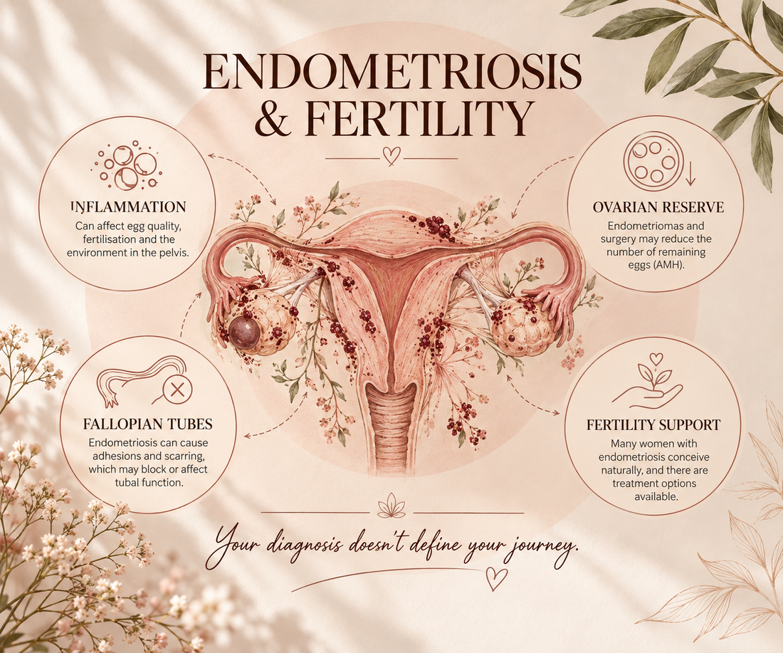 Endometriosis and Fertility: Can You Still Get Pregnant?