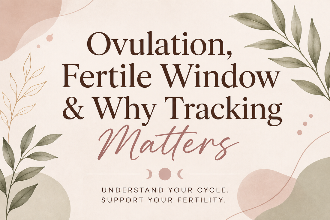 Ovulation, Fertile Window & Why Tracking Matters