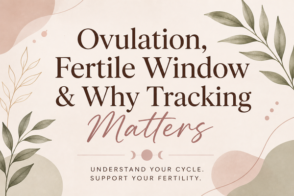 Ovulation, Fertile Window & Why Tracking Matters